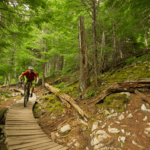 mountain biker riding a wood feature