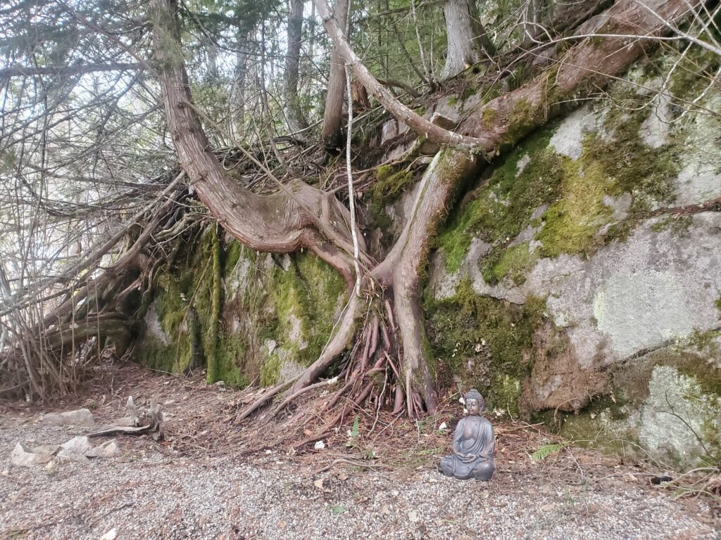 zen garden at for-rest retreat