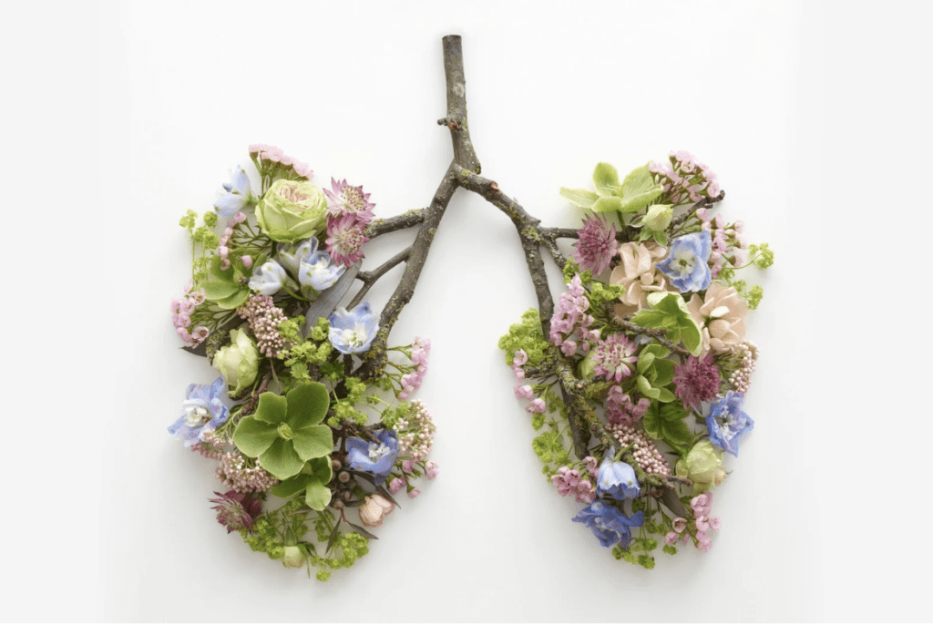 branches and flowers shaped like lungs